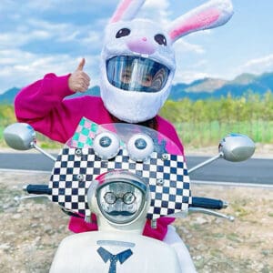Motorcycle Helmet Cover