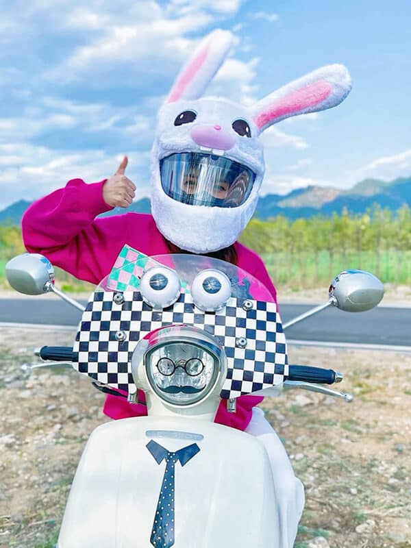 Motorcycle Helmet Cover